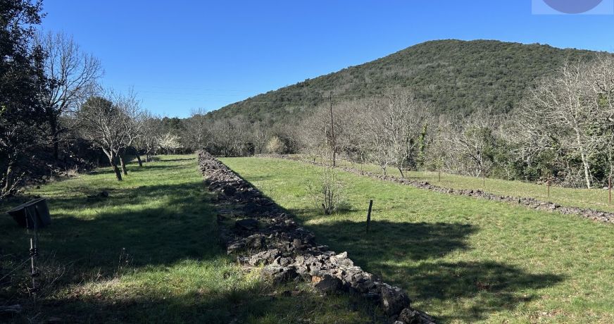 vente Ensemble immobilier Thoiras