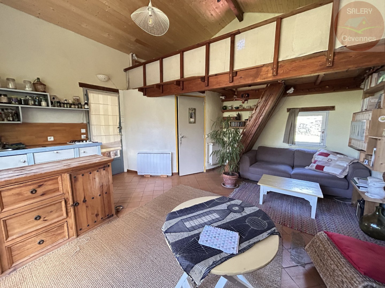 à vendre Ensemble immobilier Thoiras - Photo 4