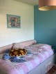 vente Maison Uzes