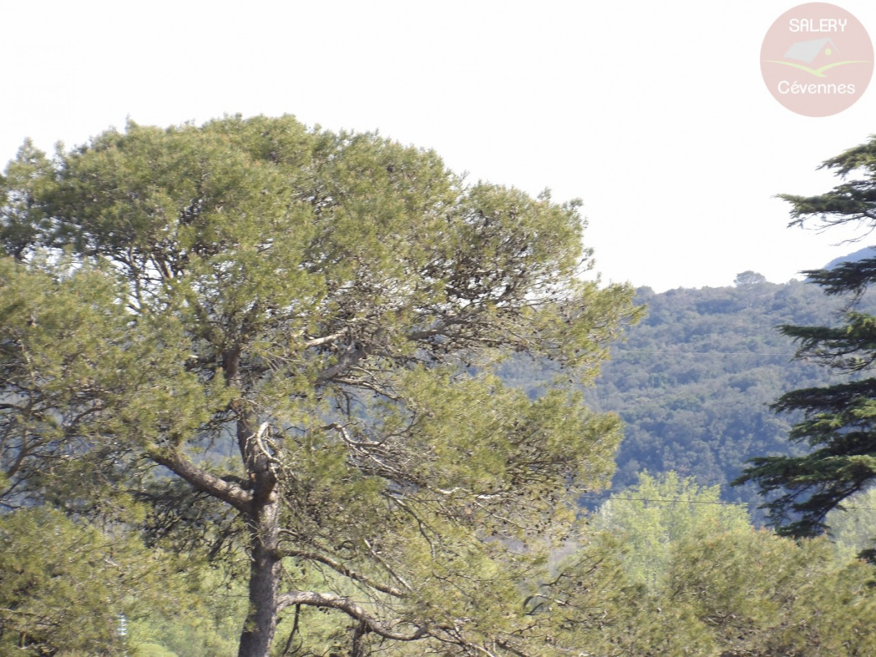 à vendre Maison Cassagnoles - Photo 10