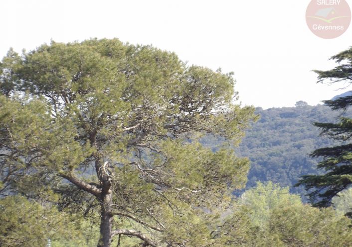 à vendre Maison Cassagnoles