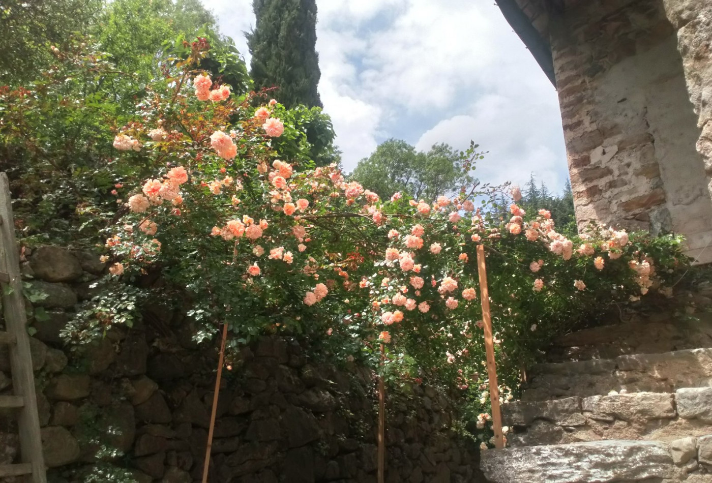 vente Maison en pierre Cros - Photo 9