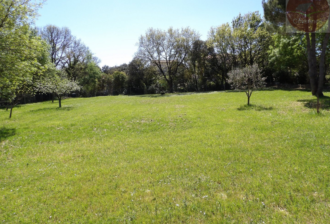 vente Maison Boisset Et Gaujac - Photo 3