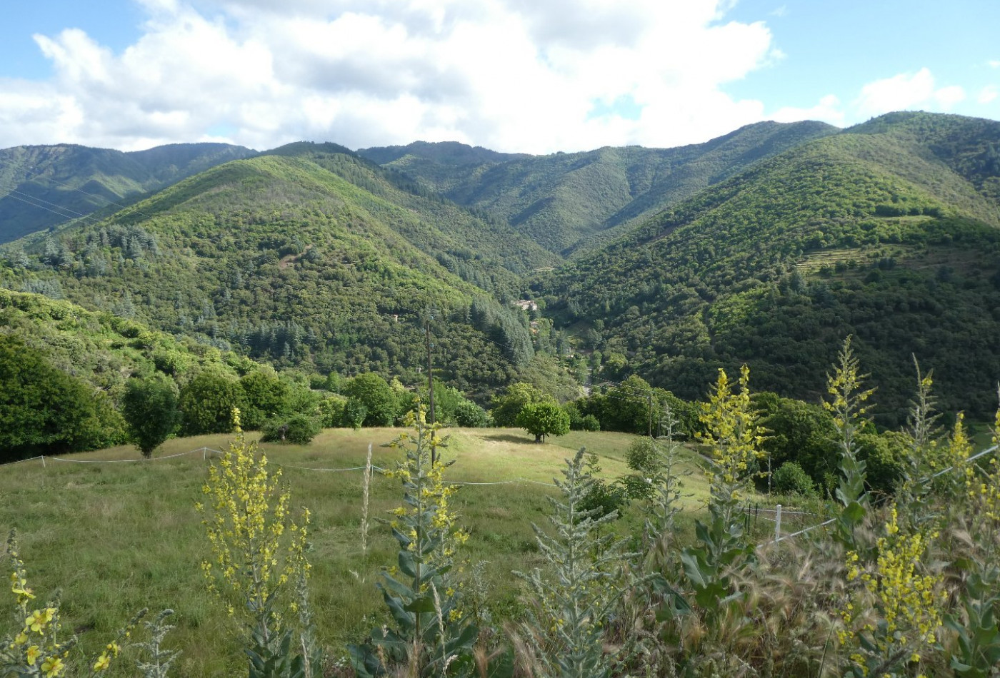 vente Maison Val D'aigoual - Photo 2