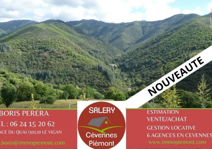 à vendre Maison Val D'aigoual