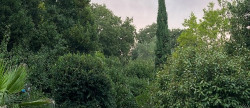 vente Maison de hameau Durfort Et Saint Martin De So
