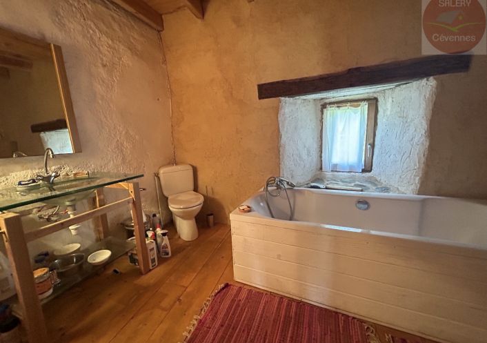 à vendre Maison Les Plantiers