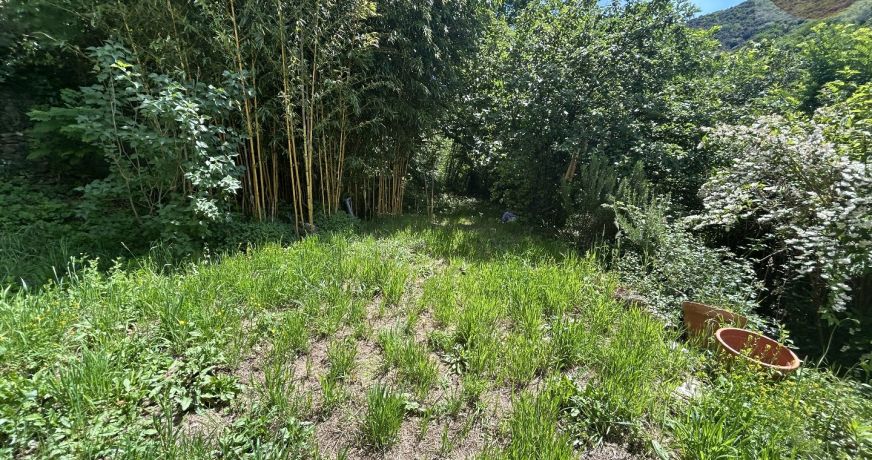 vente Maison Les Plantiers