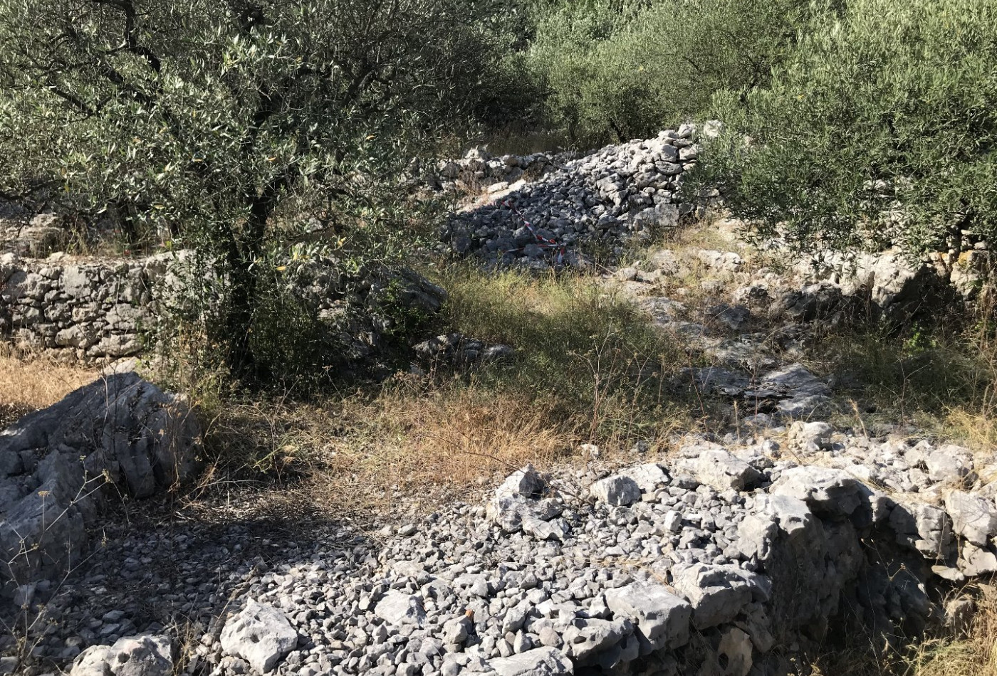 vente Terrain Saint Hippolyte Du Fort - Photo 10