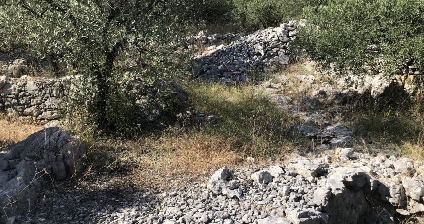 vente Mazet Saint Hippolyte Du Fort