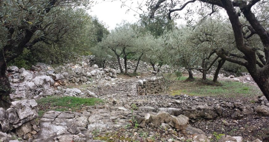 vente Mazet Saint Hippolyte Du Fort