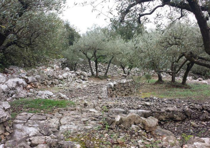 à vendre Mazet Saint Hippolyte Du Fort