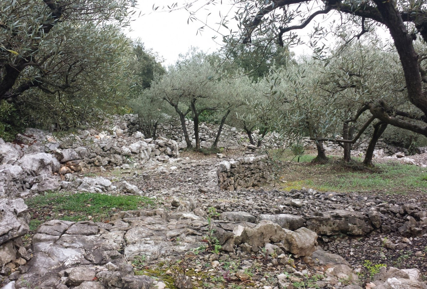 vente Mazet Saint Hippolyte Du Fort - Photo 8