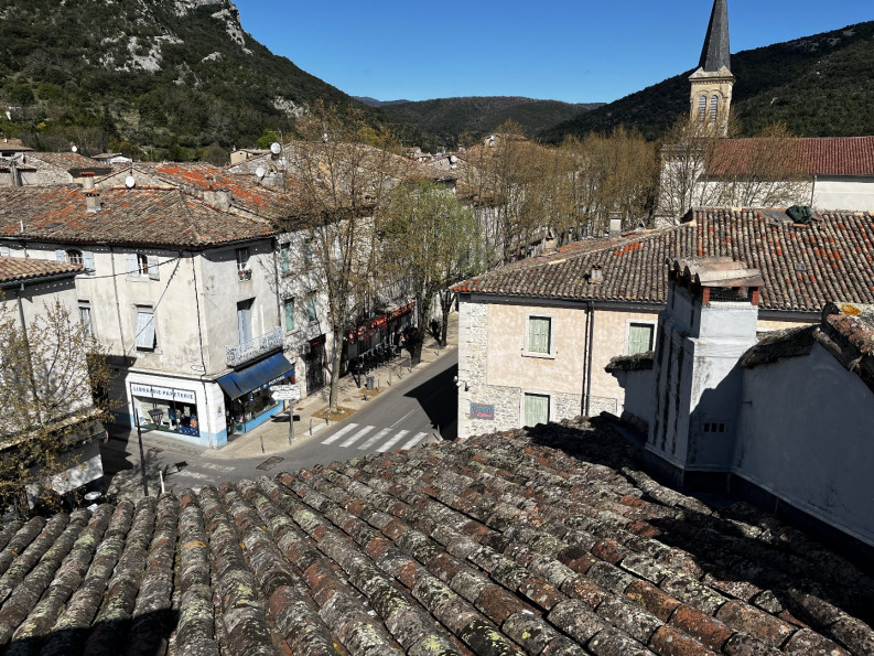 vente Maison Saint Hippolyte Du Fort - Photo 10
