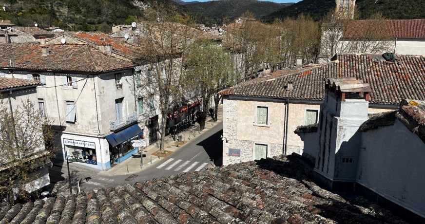 vente Maison Saint Hippolyte Du Fort