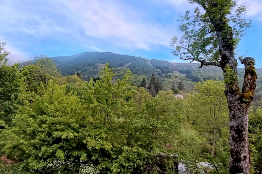 vente Maison Dourbies - Photo 10