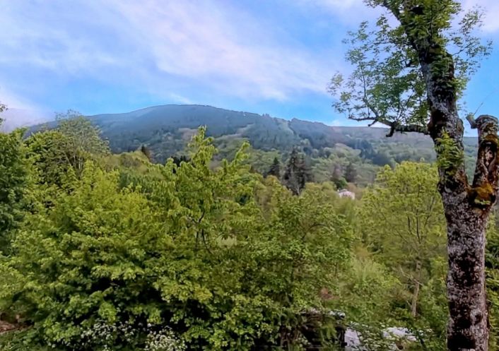 à vendre Maison Dourbies