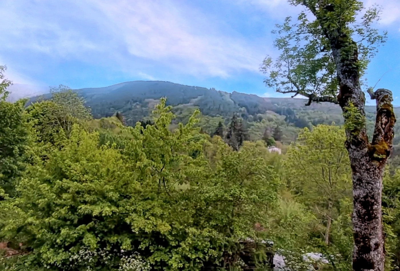 vente Maison Dourbies - Photo 10