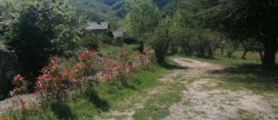 vente Maison Dourbies