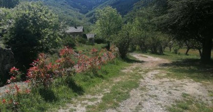 vente Maison Dourbies