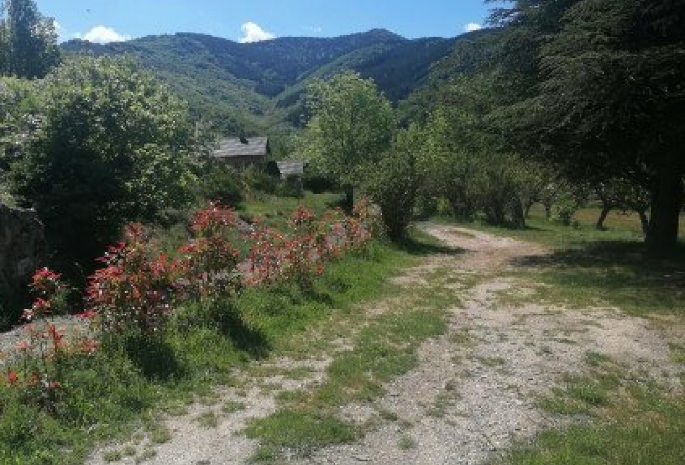 vente Maison Dourbies - Photo 5