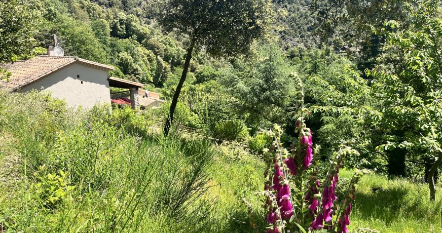 vente Maison Les Plantiers