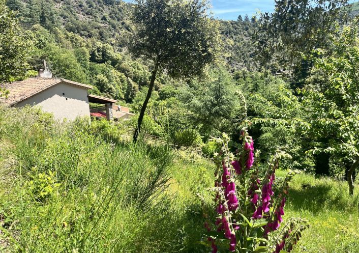 à vendre Maison Les Plantiers