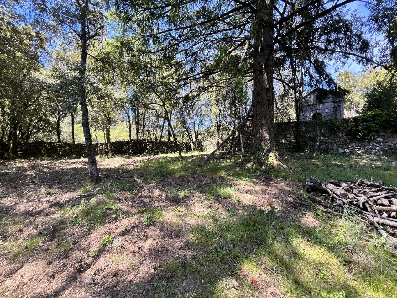 à vendre Maison Les Plantiers - Photo 5