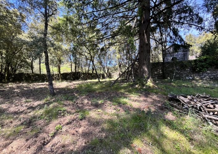 à vendre Maison Les Plantiers