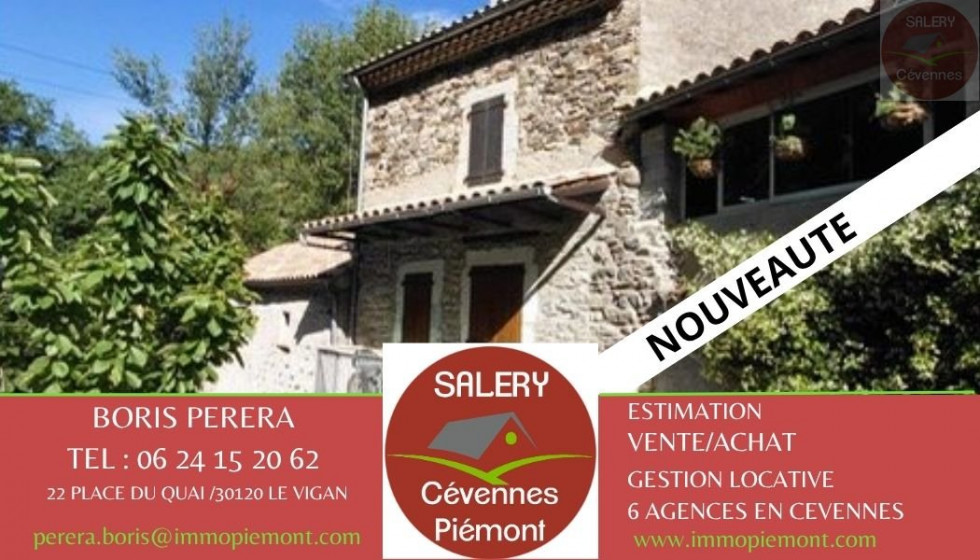 vente Maison Alzon - Photo 2