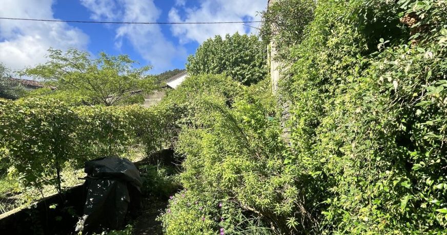 vente Maison Saint Hippolyte Du Fort