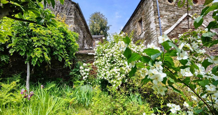 vente Mas Saint Germain De Calberte