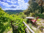 à vendre Mas Saint Germain De Calberte