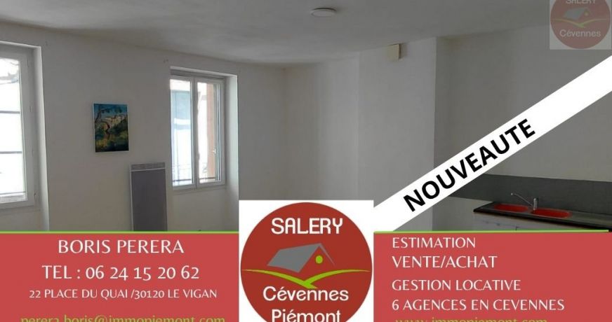 vente Appartement Le Vigan