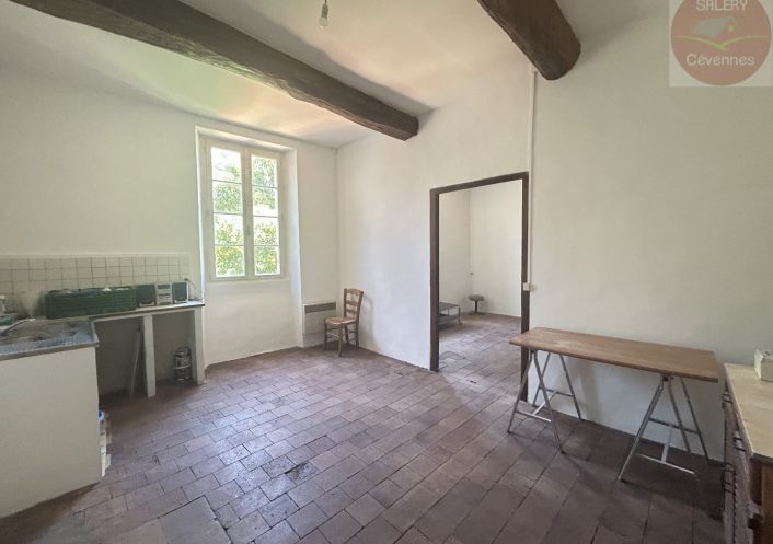à vendre Ensemble immobilier Saint Jean Du Gard