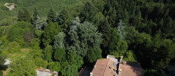 vente Propriété Roquedur