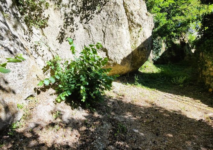 à vendre Maison à rénover Barre Des Cevennes