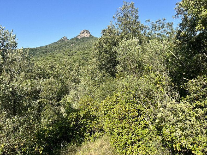 vente Terrain Monoblet - Photo 10