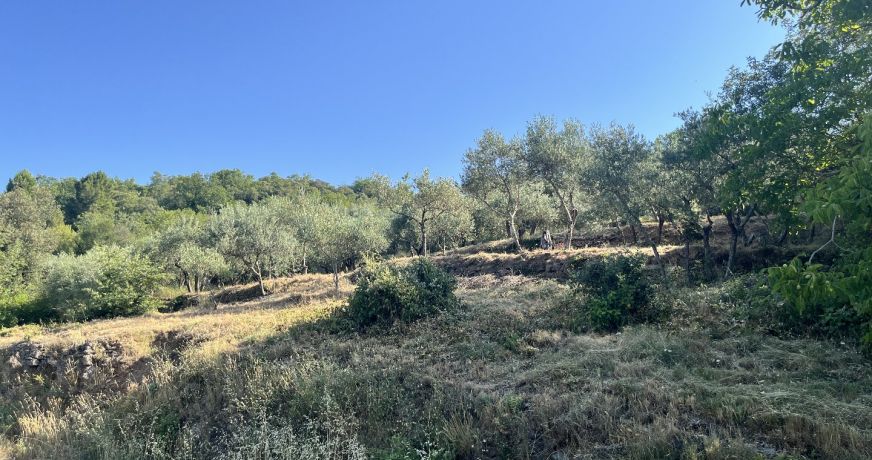 vente Terrain Monoblet