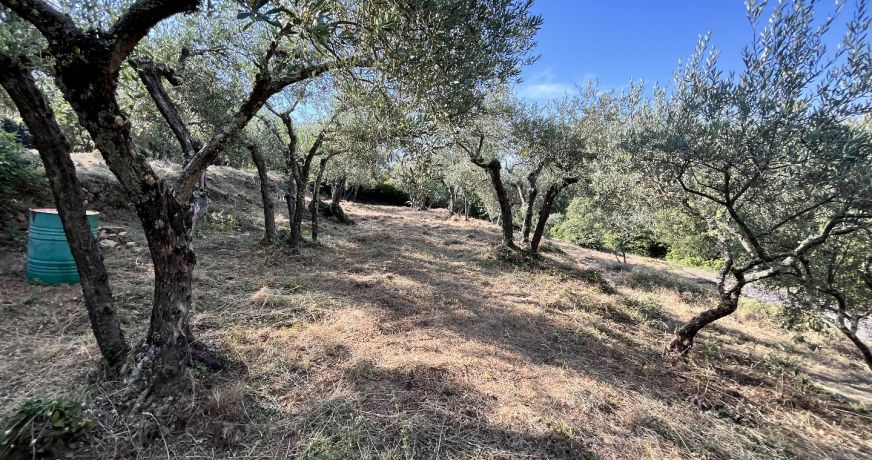 vente Terrain Monoblet