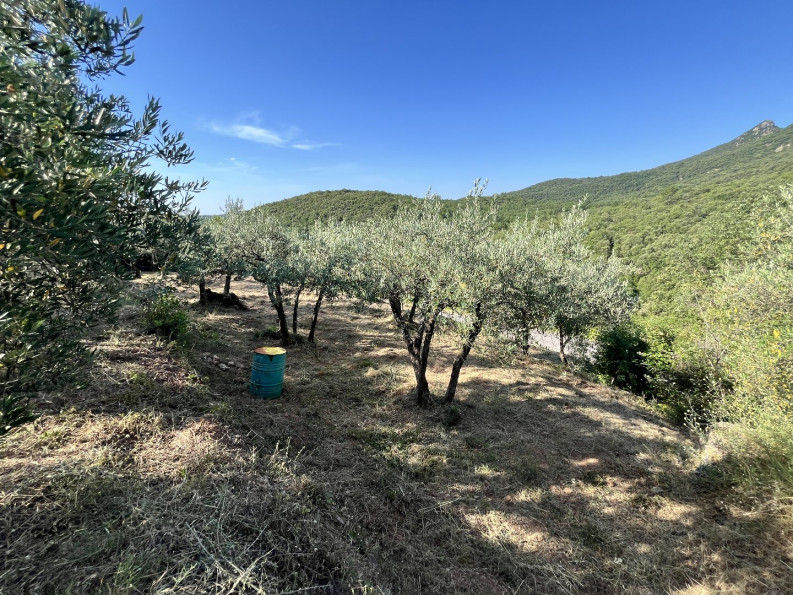vente Terrain Monoblet - Photo 1