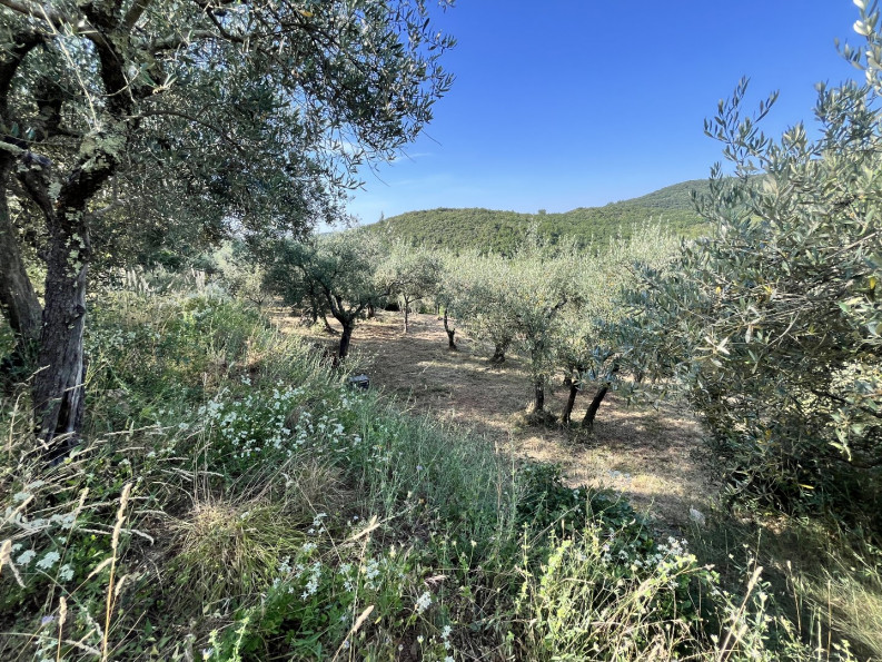 vente Terrain Monoblet - Photo 4