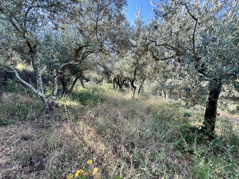 vente Terrain Monoblet - Photo 5