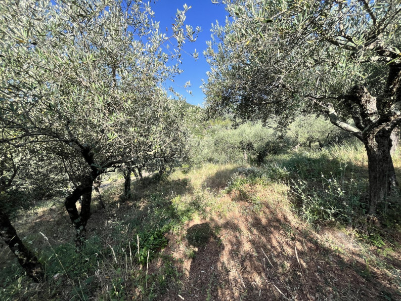 vente Terrain Monoblet - Photo 6