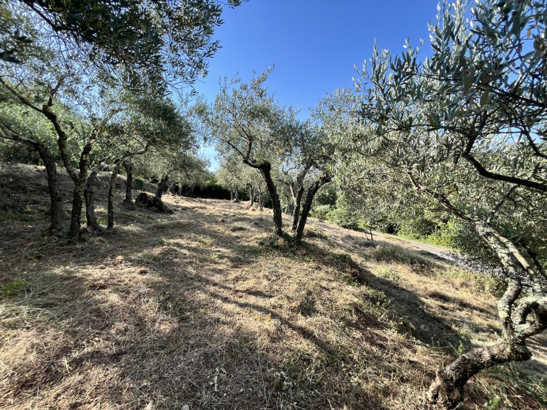 vente Terrain Monoblet - Photo 8