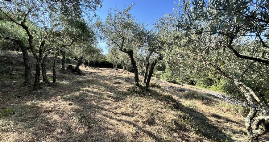 vente Terrain Monoblet