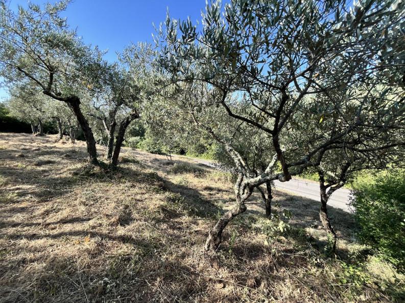 vente Terrain Monoblet - Photo 9