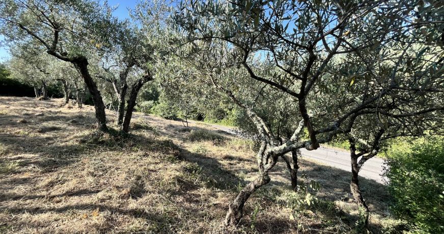 vente Terrain Monoblet