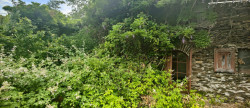 vente Maison à rénover Molezon