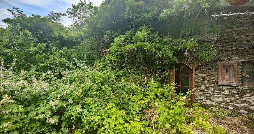 vente Maison à rénover Molezon